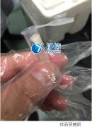 多样品组织研磨仪研磨眼结膜提取rna实验