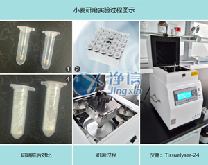 多样品组织研磨仪