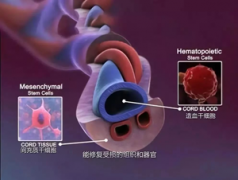 上海净信浸入式液氮冷冻研磨仪研磨脐带提取RNA